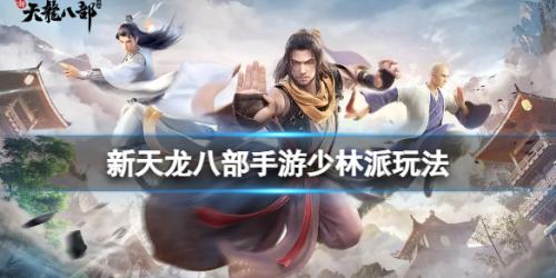 新天龙八部少林玩法攻略(少林派攻略)插图