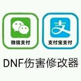 圣骑士体力装备(圣骑士装备属性取舍)插图