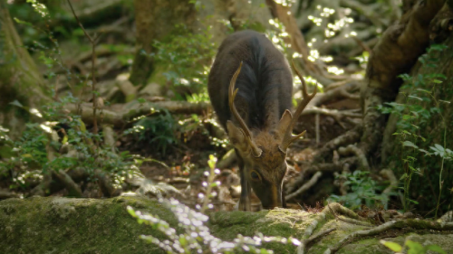 奥巴马的僵尸墓地攻略(花园战争3僵尸墓地模式)插图12 奥巴马的僵尸墓地攻略(花园战争3僵尸墓地模式)插图12