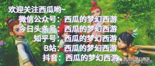 梦幻西游伤害坐骑装备(梦幻西游坐骑饰品建议)