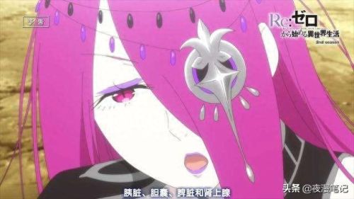 黑之白 魔女与随从攻略(白之黑魔女与随从)插图1