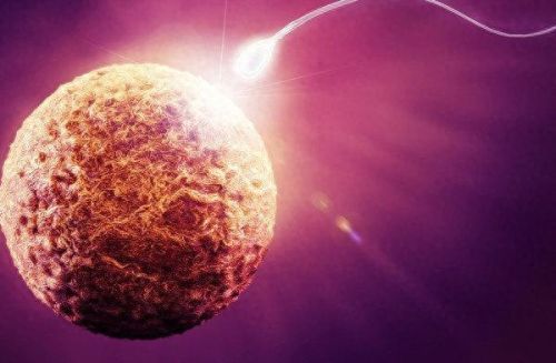 血源攻略宇宙之女(血源游戏怎么选女角色)插图8