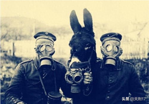 太极崛最好的装备(太极崛起装备怎么分类)插图6 太极崛最好的装备(太极崛起装备怎么分类)插图6