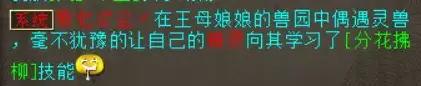 大隐于朝技能效果(大隐于朝的微博)插图5