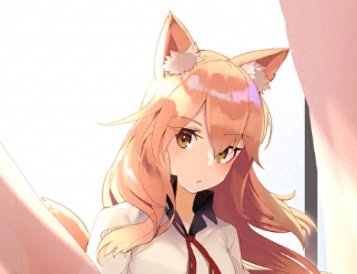 fgo ccc攻略 贴吧(fgoccc任务大全)插图