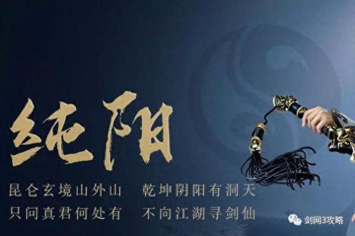 纯阳太虚剑意技能摆放(纯阳太虚剑意技能顺序)插图