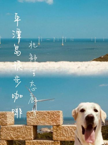 海峡攻略(琼州海峡过海攻略)插图