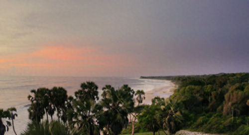 奥巴马的僵尸墓地攻略(花园战争3僵尸墓地模式)插图4 奥巴马的僵尸墓地攻略(花园战争3僵尸墓地模式)插图4