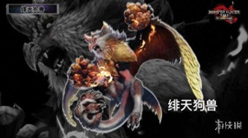 怪物猎人3猫装备怎么获得(怪物猎人3弓装备)插图7