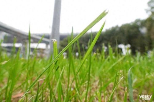 索尼hx100攻略(索尼wh1000xm4攻略)插图41