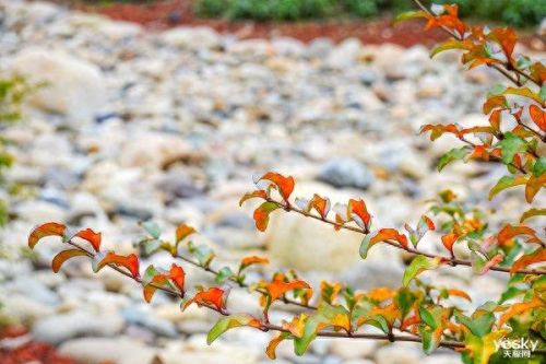 索尼hx100攻略(索尼wh1000xm4攻略)插图40