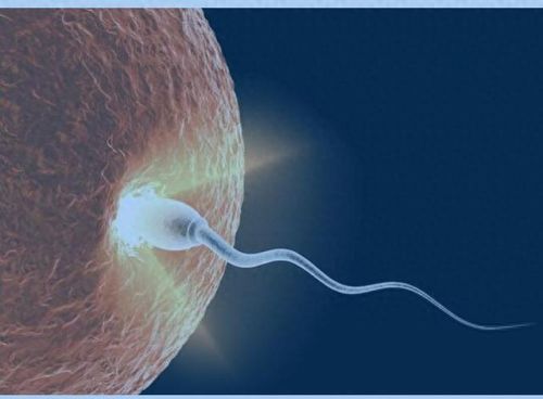 血源攻略宇宙之女(血源游戏怎么选女角色)插图18