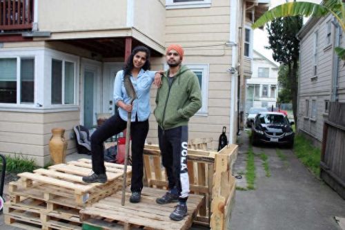 梦幻花园攻略13(梦幻花园攻略一览)插图4