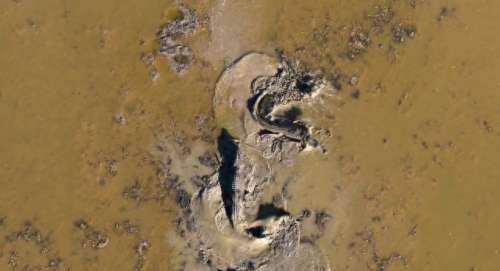 奥巴马的僵尸墓地攻略(花园战争3僵尸墓地模式)插图19 奥巴马的僵尸墓地攻略(花园战争3僵尸墓地模式)插图19