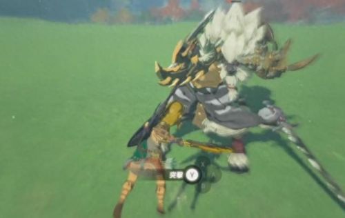 半人马 装备 塞尔达(塞尔达双半人马)插图4