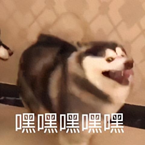 梦幻西游2齐天大圣解说(梦幻西游2翻盘视频)