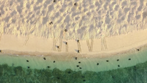 奥巴马的僵尸墓地攻略(花园战争3僵尸墓地模式)插图22 奥巴马的僵尸墓地攻略(花园战争3僵尸墓地模式)插图22