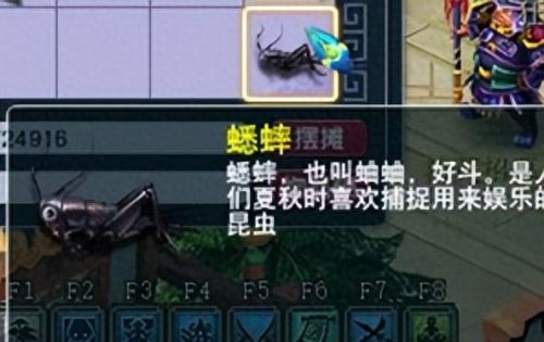 梦幻西游绝版道具(梦幻藏宝阁角色拆卖后道具在哪)插图4