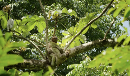 奥巴马的僵尸墓地攻略(花园战争3僵尸墓地模式)插图17 奥巴马的僵尸墓地攻略(花园战争3僵尸墓地模式)插图17