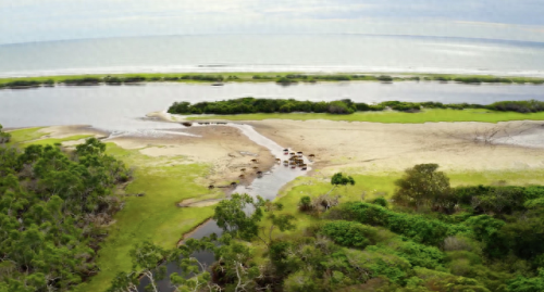奥巴马的僵尸墓地攻略(花园战争3僵尸墓地模式)插图1 奥巴马的僵尸墓地攻略(花园战争3僵尸墓地模式)插图1