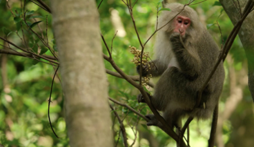 奥巴马的僵尸墓地攻略(花园战争3僵尸墓地模式)插图11 奥巴马的僵尸墓地攻略(花园战争3僵尸墓地模式)插图11