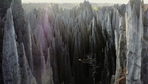 奥巴马的僵尸墓地攻略(花园战争3僵尸墓地模式)插图6 奥巴马的僵尸墓地攻略(花园战争3僵尸墓地模式)插图6