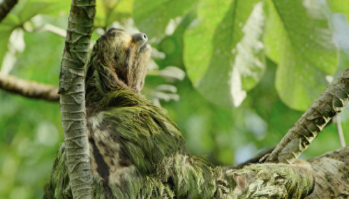 奥巴马的僵尸墓地攻略(花园战争3僵尸墓地模式)插图16 奥巴马的僵尸墓地攻略(花园战争3僵尸墓地模式)插图16