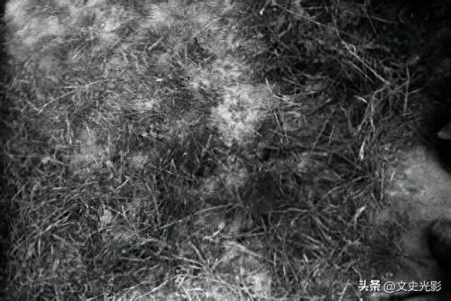 地雷战游戏隐藏攻略(地雷战游戏隐藏物品)