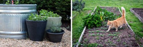 梦幻花园攻略13(梦幻花园攻略一览)插图3