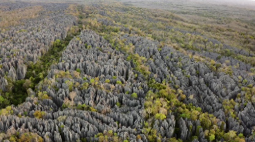 奥巴马的僵尸墓地攻略(花园战争3僵尸墓地模式)插图5 奥巴马的僵尸墓地攻略(花园战争3僵尸墓地模式)插图5