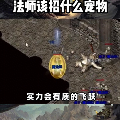 法师 烧技能 带什么宠(法师多少魔法能烧赤月)插图