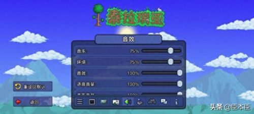 泰拉瑞亚存档(泰拉瑞亚灾厄手机版怎么下)插图10