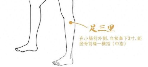 万物生长冬攻略(万物生长buff怎么弄)插图2