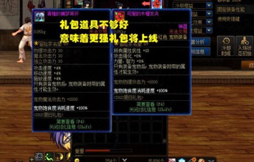年套宠物装备选什么好(年套能选几个宠物装备)