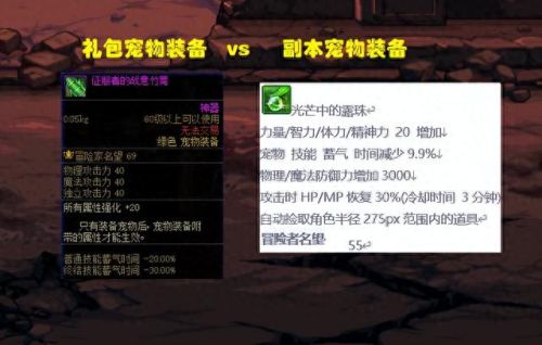 年套宠物装备选什么好(年套能选几个宠物装备)插图4
