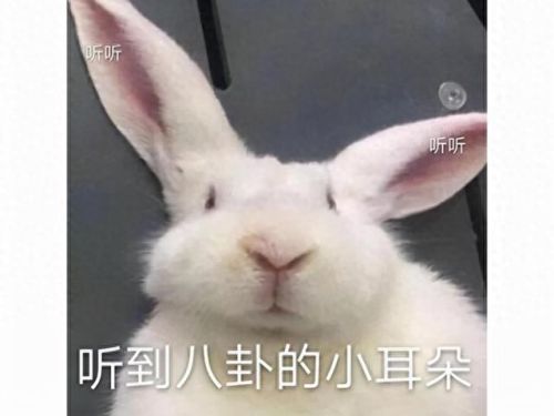 永恒之炎技能商人在哪里(永恒之炎xyz神兽版穿墙)插图