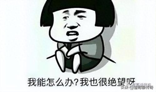号被盗了装备被分解(号被盗了后续)插图1