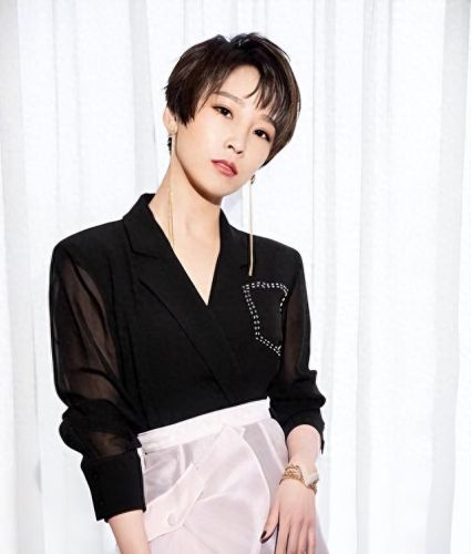 刘德华两个儿子(刘德华一共几个孩子)插图7 刘德华两个儿子(刘德华一共几个孩子)插图7