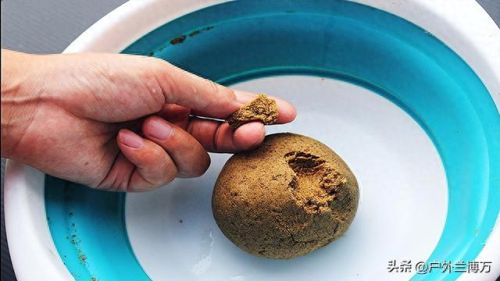 捕获鱼饵技能(鱼饵排行榜第一名)插图3