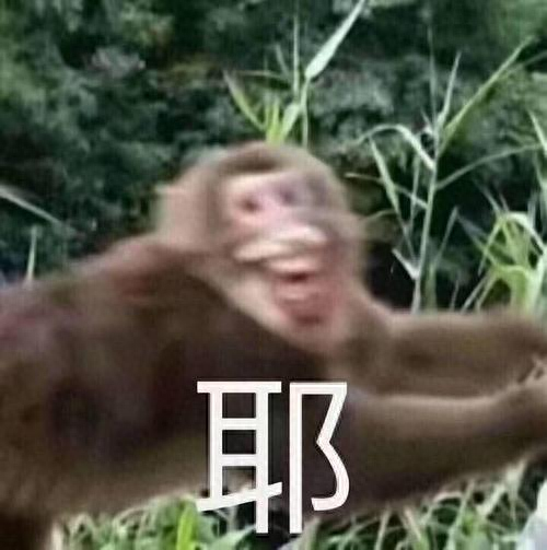 梦幻西游新区怎么弄礼包(梦幻西游新区怎么预约礼包)插图1