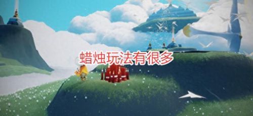 光遇雨林赏花(光遇赏花任务怎么完成)插图4