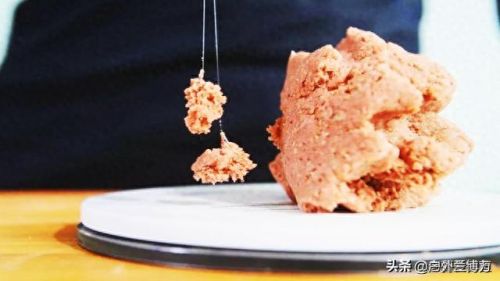 捕获鱼饵技能(鱼饵排行榜第一名)插图