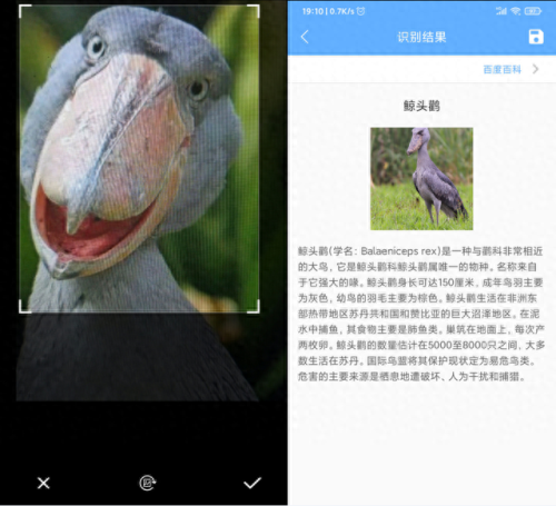 简单百宝箱dnf连发(简单百宝箱dnf一键跑)插图21