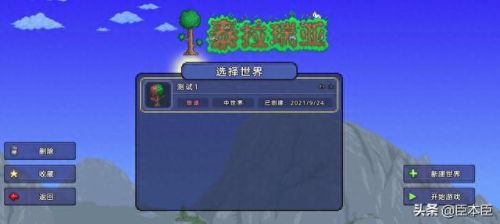 泰拉瑞亚存档(泰拉瑞亚灾厄手机版怎么下)插图26