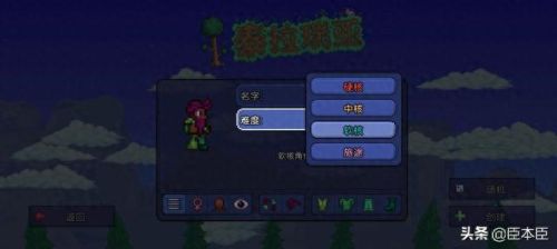 泰拉瑞亚存档(泰拉瑞亚灾厄手机版怎么下)插图19