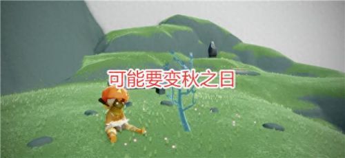 光遇雨林赏花(光遇赏花任务怎么完成)插图2