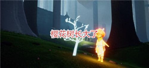 光遇雨林赏花(光遇赏花任务怎么完成)插图1