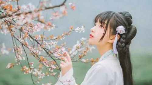 女儿村清歌妙舞技能(女儿村楚楚可怜技能)插图7