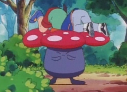 霸王花的技能是什么(霸王花是什么季节开花)插图2 霸王花的技能是什么(霸王花是什么季节开花)插图2