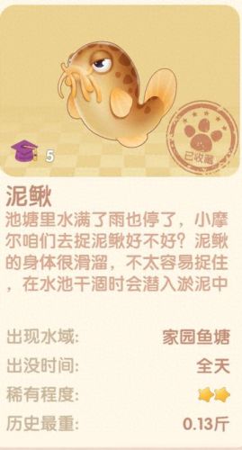 摩尔庄园鳗鱼(摩尔庄园鳗鱼可以干什么)插图4
